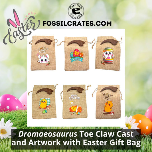 The Dromaeosaurus toe claw cast now comes with fun and cute Easter gift bags! Pick from an Easter Bunny, Easter Eggs, Easter Bunny Egg, Chick with Sunglasses, Chick Sleeping, or Easter Chick.