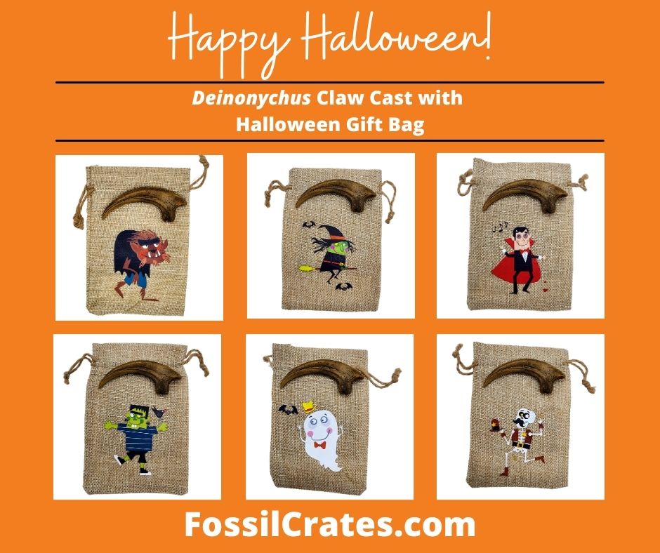 Cuteness never goes extinct! The Deinonychus claw cast now comes with a fun and cute Halloween gift bag! Pick from a Werewolf, Witch, Vampire, Frankenstein, Ghost, or Skeleton.
