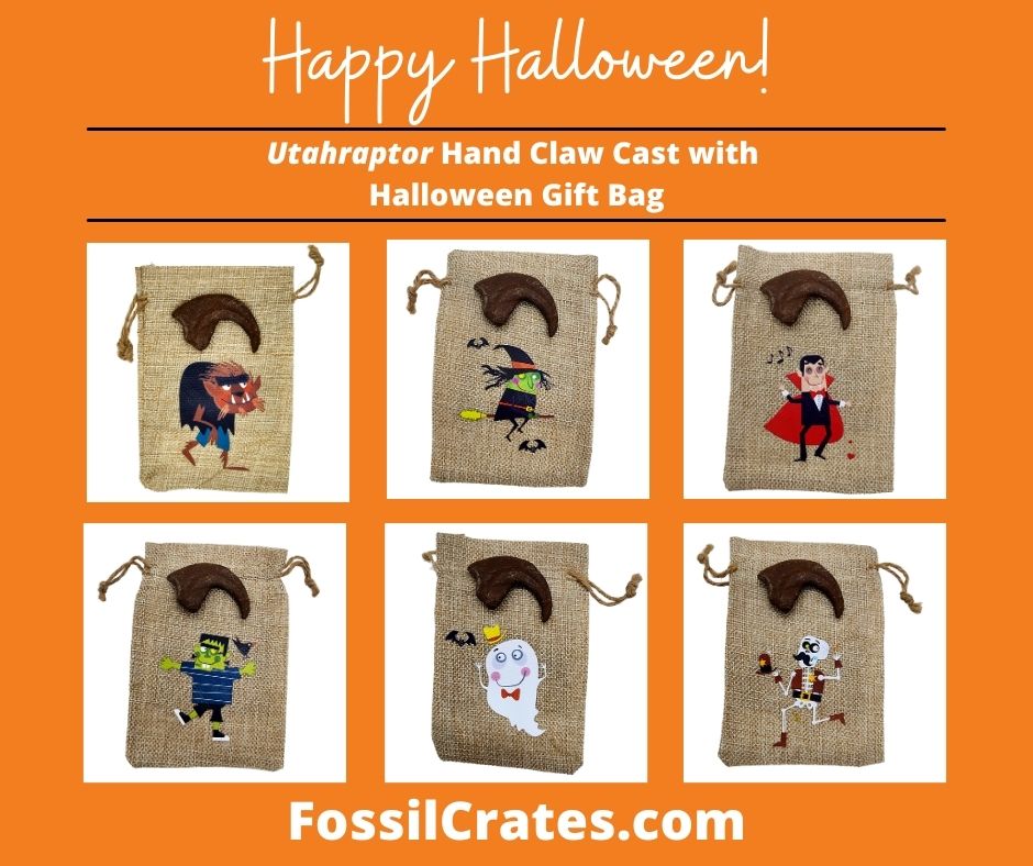 Cuteness never goes extinct! The Utahraptor hand claw cast now comes with a fun and cute Halloween gift bag! Pick from a Werewolf, Witch, Vampire, Frankenstein, Ghost, or Skeleton.