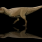 Majungasaurus paleoart