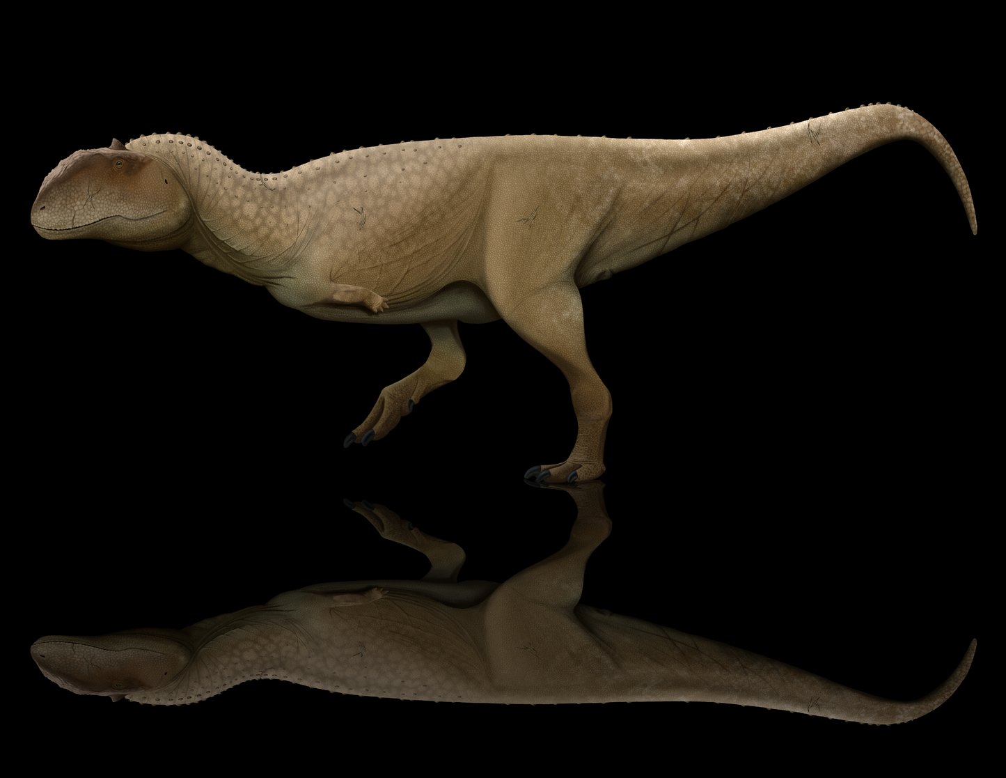 Majungasaurus paleoart