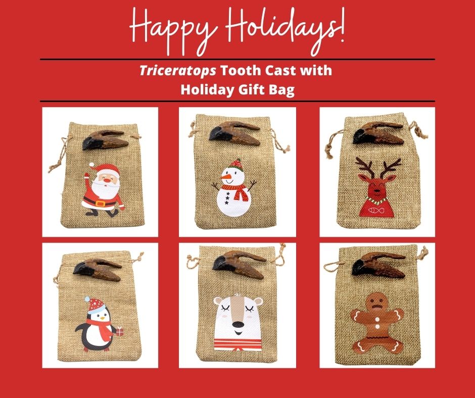 The Triceratops tooth cast now comes with a fun and cute Christmas gift bag! Pick from a Santa Claus, Penguin, Snowman, Reindeer, Polar Bear, or Gingerbread.