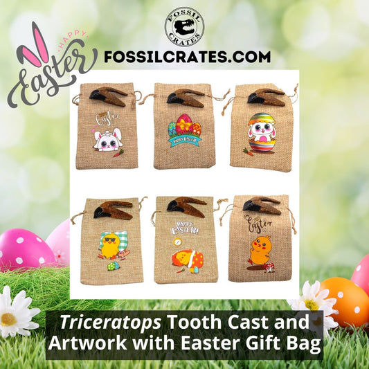 The Triceratops tooth cast now comes with fun and cute Easter gift bags! Pick from an Easter Bunny, Easter Eggs, Easter Bunny Egg, Chick with Sunglasses, Chick Sleeping, or Easter Chick.