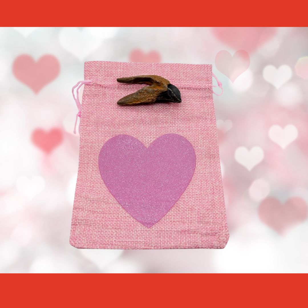 Triceratops tooth cast with Light Pink Bag/Dark Pink Heart gift bag.