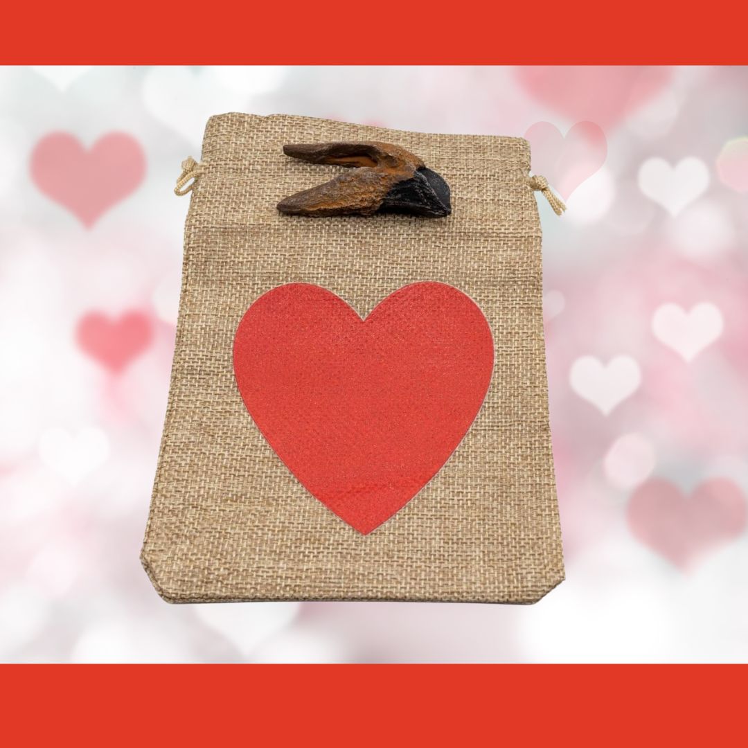 Triceratops tooth cast with Tan Bag/Red Heart gift bag.