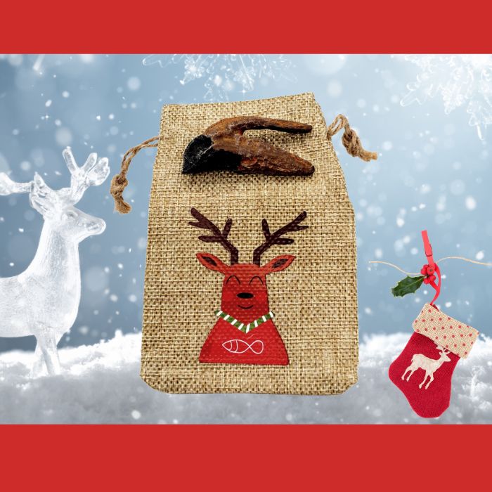 Triceratops tooth cast with Reindeer gift bag