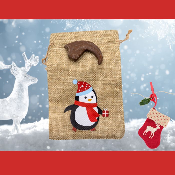 Utahraptor hand claw cast with Penguin gift bag
