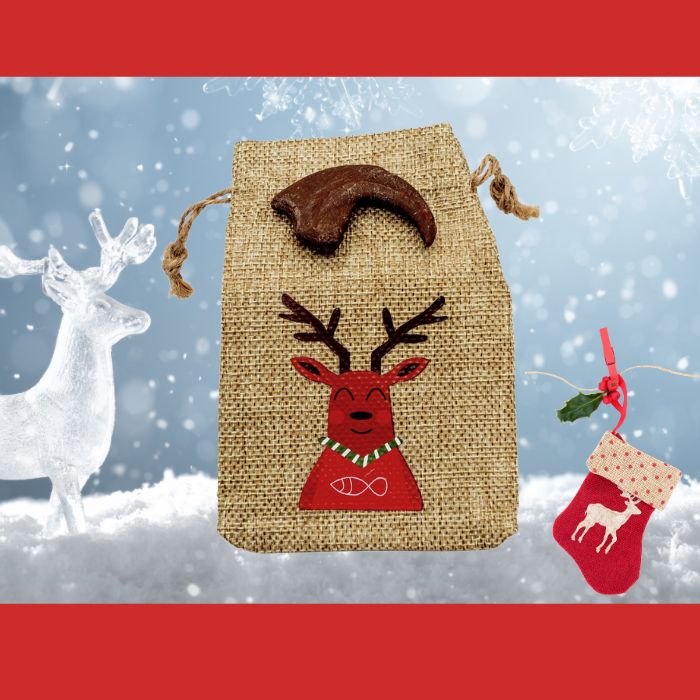 Utahraptor hand claw cast with Reindeer gift bag