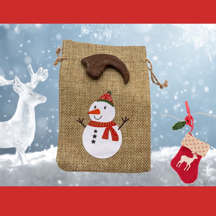 Utahraptor hand claw cast with Snowman gift bag