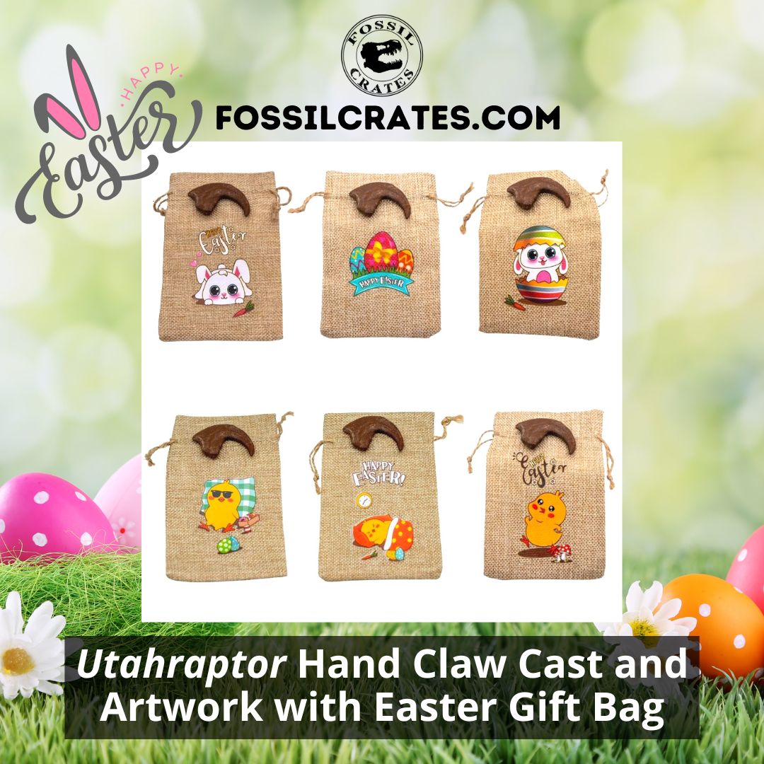 The Utahraptor hand claw cast now comes with a fun and cute Easter gift bag! Pick from an Easter Bunny, Easter Eggs, Easter Bunny Egg, Chick with Sunglasses, Chick Sleeping, or Easter Chick.