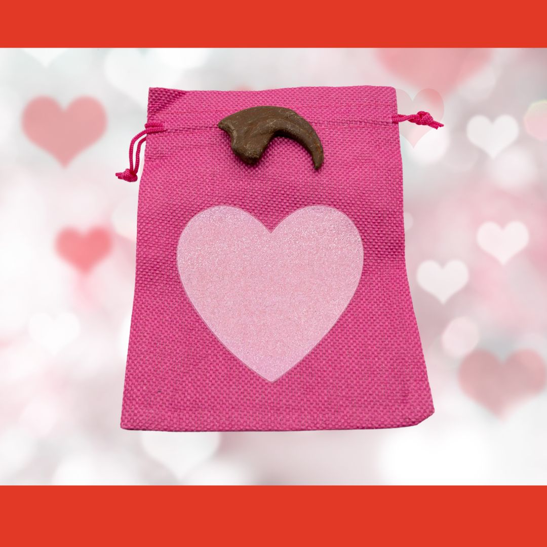 Utahraptor hand claw cast with Hot Pink Bag/Light Pink Heart gift bag.