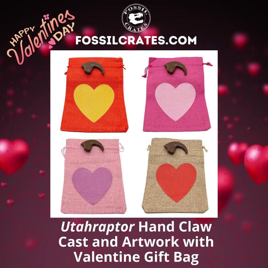The Utahraptor hand claw cast now comes with fun and cute Valentine gift bags! Pick from a Red Bag/Gold Heart, Hot Pink Bag/Light Pink Heart, Light Pink Bag/Dark Pink Heart, or Tan Bag/Red Heart. 