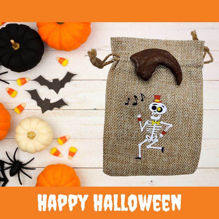Utharaptor Hand Claw Cast with Halloween Gift Bag and Artwork - Skeleton Music