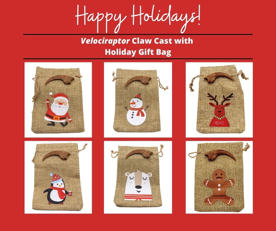 Cuteness never goes extinct! The Velociraptor claw cast now comes with a fun and cute Christmas gift bag! Pick from a Santa, Snowman, Reindeer, Penguin, Pola Bear, or Gingerbread.