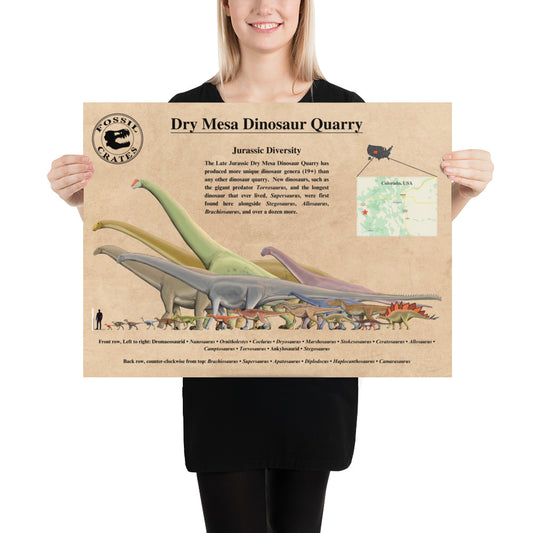 Dry Mesa Dinosaur Quarry Poster