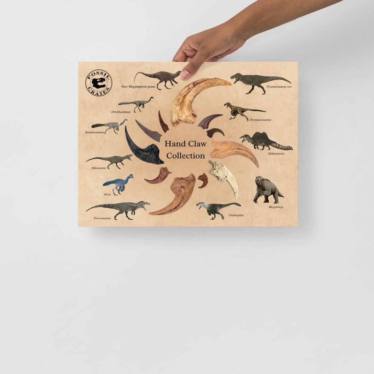 Dinosaur Hand Claw Poster