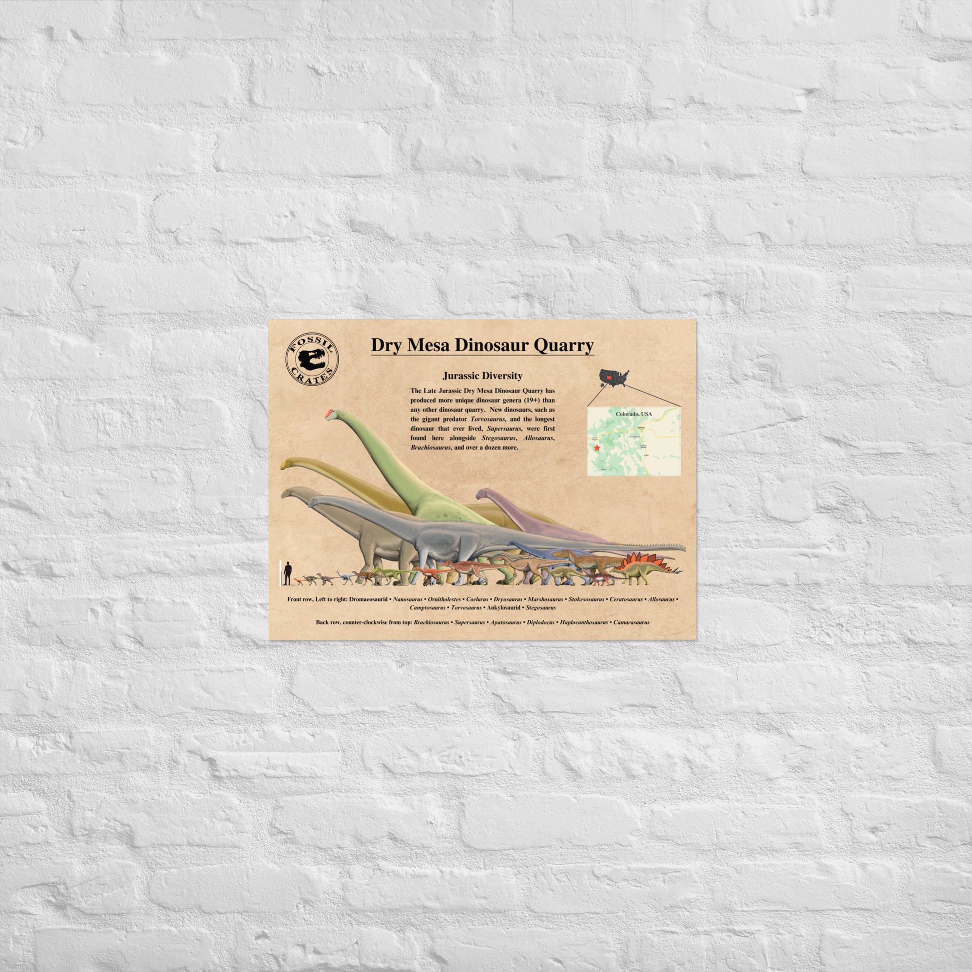 Dry Mesa Dinosaur Quarry Poster