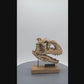 Majungasaurus Scaled Skull 360 Rotation
