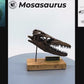 Mosasaurus Scaled Skull Rotation