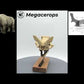 Megacerops Scaled Skull