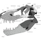 T. rex Skull Anatomy