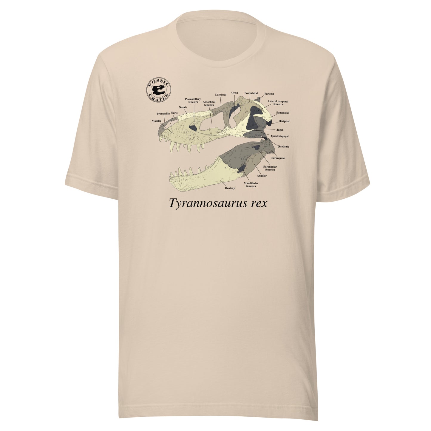 Tyrannosaurus rex Skull Anatomy T-shirt Soft Cream