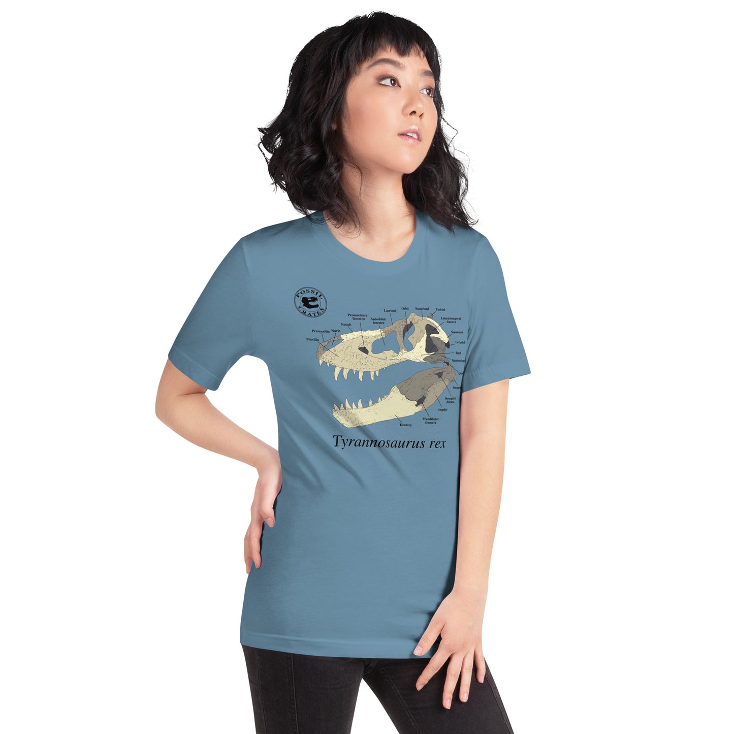 Tyrannosaurus rex Skull Anatomy T-shirt Steel Blue
