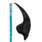 Allosaurus hand claw cast