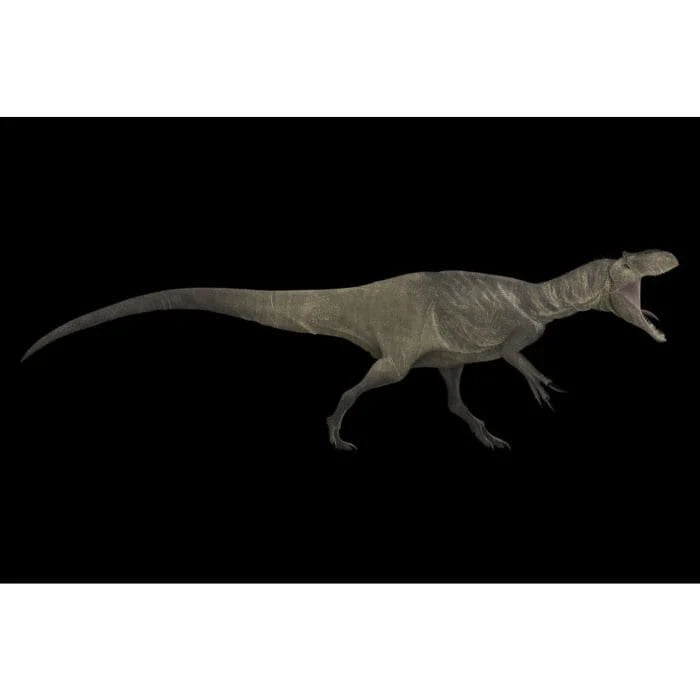 Allosaurus Paleoart that comes with the Big Claws Crate