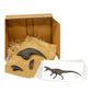 Allosaurus Standard Crate: casts of Allosaurus hand claw, Allosaurus toe claw, Allosaurus tooth