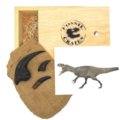 Allosaurus Wooden Crate: casts of Allosaurus hand claw, Allosaurus toe claw, Allosaurus tooth