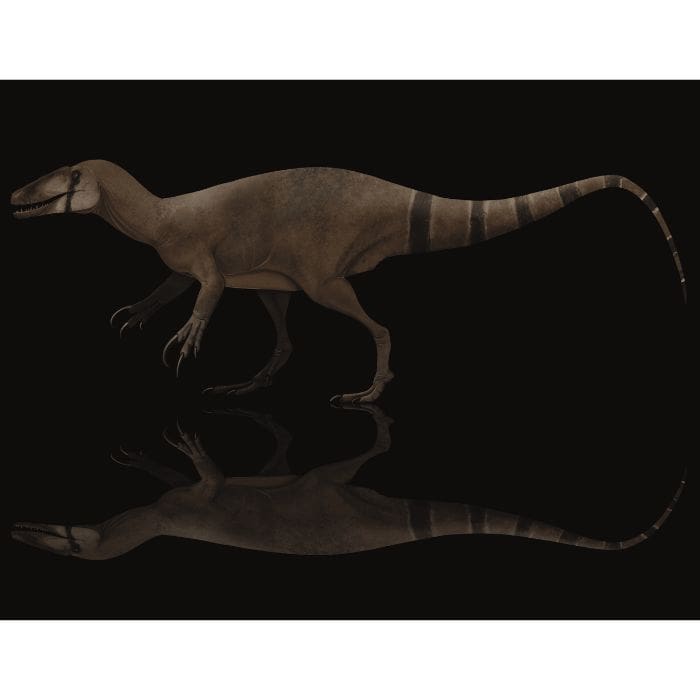 Exclusive Megaraptorid paleoart that comes with the New, Unnamed Megaraptorid Crate 