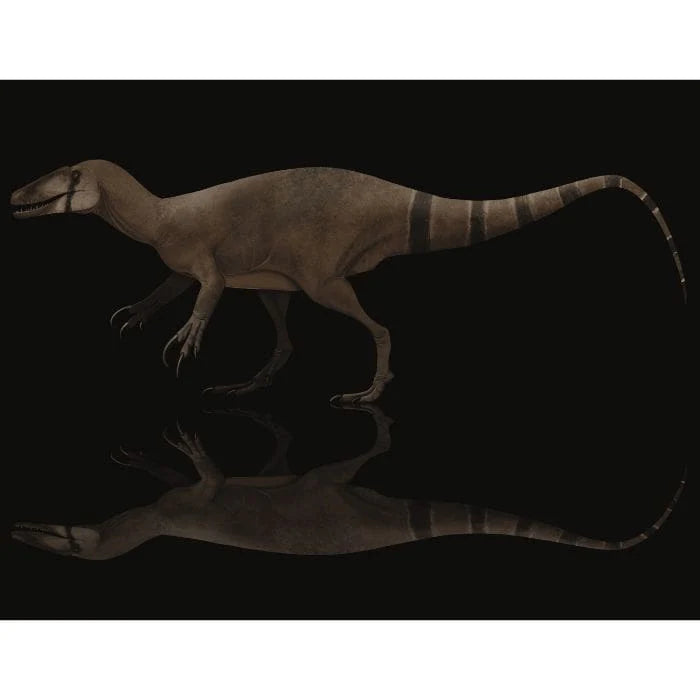 Exclusive Megaraptorid paleoart that comes with the Big Claws Crate