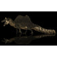 Spinosaurus paleoart that comes with the Spinosaurus Hand Claw Cast and Artwork