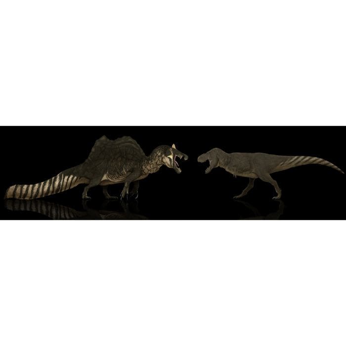 Spinosaurus vs T. rex Paleoart that comes with the Ultimate Spinosaurus vs Tyrannosaurus Crate