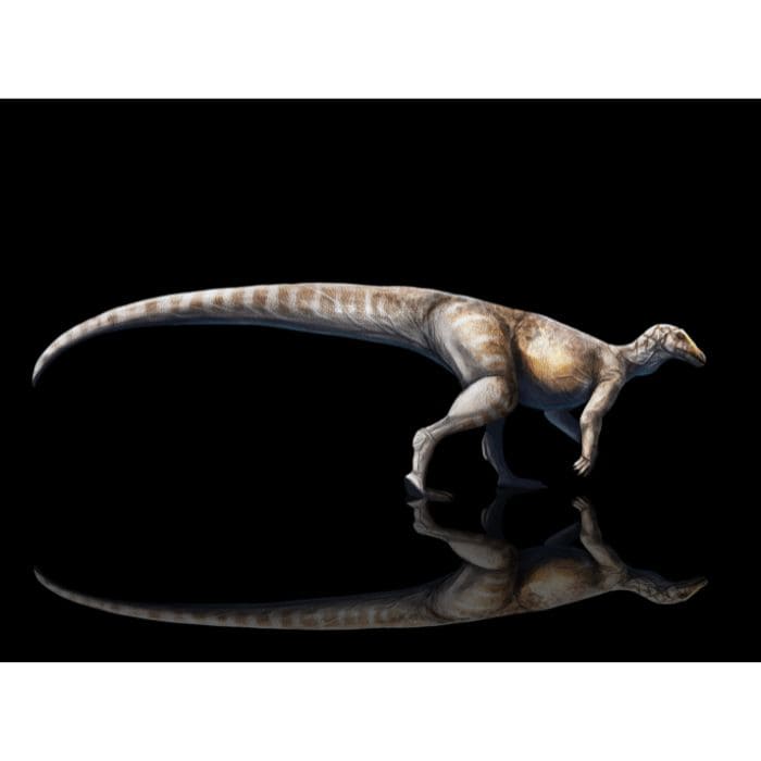 Thescelosaurus paleoart that comes with The Day the Dinosaurs Died Crate