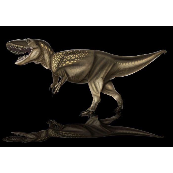 Torvosaurus Paleoart that comes with the Royal Teeth Crate