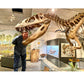 Torvosaurus Skeleton with Dr. BC