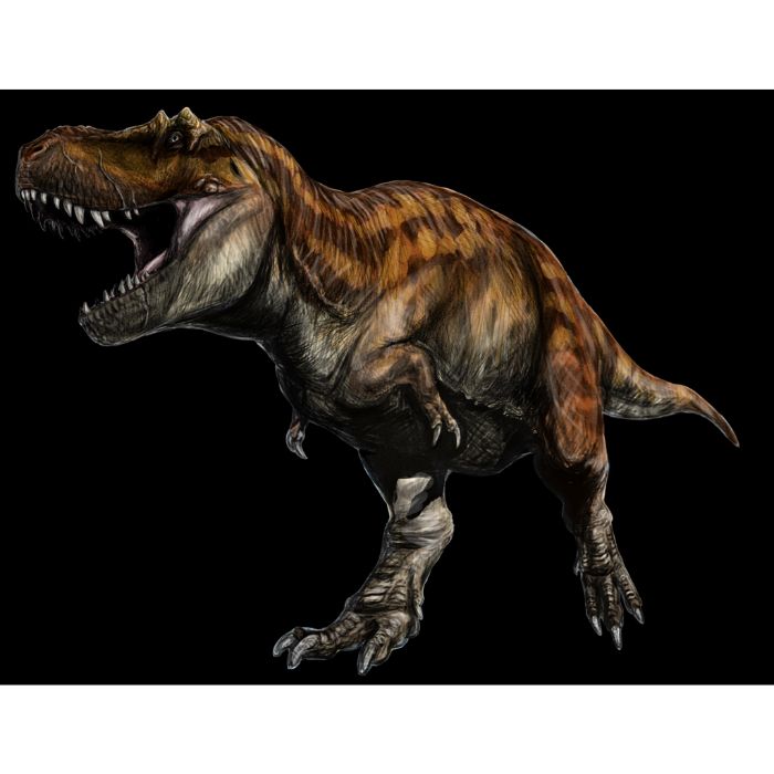 Exclusive T. rex paleoart that comes with the Tyrannosaurus rex lower jaw (dentary) tooth cast