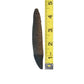 Tyrannosaurus rex premaxilla tooth cast