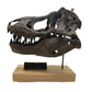Tyrannosaurus rex Scaled Skull