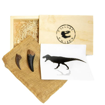 Tyrannosaurus rex Crate Wooden: casts of T. rex tooth and T. rex claw