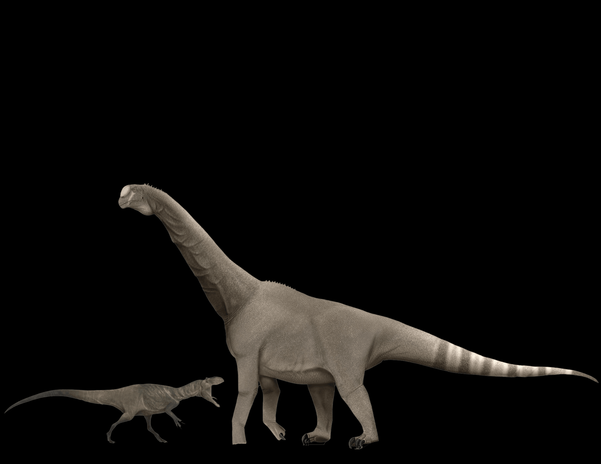 Allosaurus vs Camarasaurus - Jurassic Giants! - Fossil Crates Dinosaur teeth and claw cast