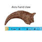 Anzu Hand Claw Cast and Artwork - Fossil Crates Dinosaur claw cast