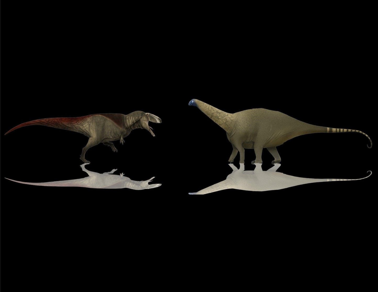 Carcharodontosaurus vs Rebbachisaurus - North Africa Showdown! - Fossil Crates