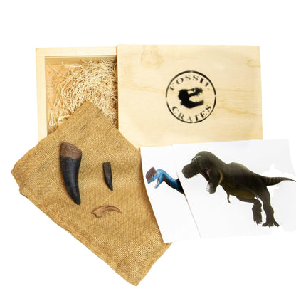 Dinosaurs in the Movies Crate - Fossil Crates Dinosaur teeth and claw casts