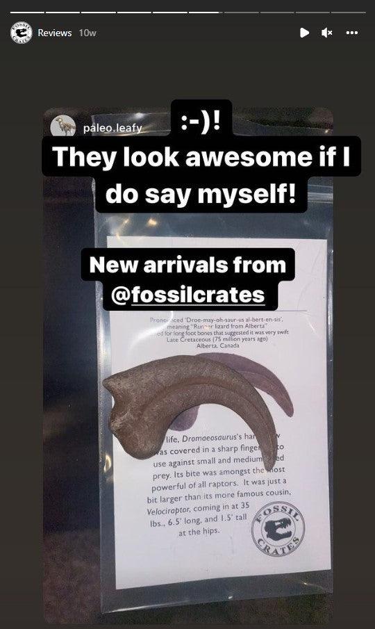 Fossil Crates fan shows off the Dromaeosaurus hand claw cast!