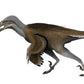 Dromaeosaurus exclusive paleoart that comes with the Dromaeosaurus hand claw cast.