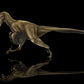 Dromaeosaurus Lower Jaw Cast and Artwork - Fossil Crates Dromaeosaurus jaw cast