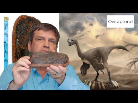 Fossil Crates' Dr. BC, dinosaur paleontologist, introduces the Oviraptorid egg and Anzu hand claw crate